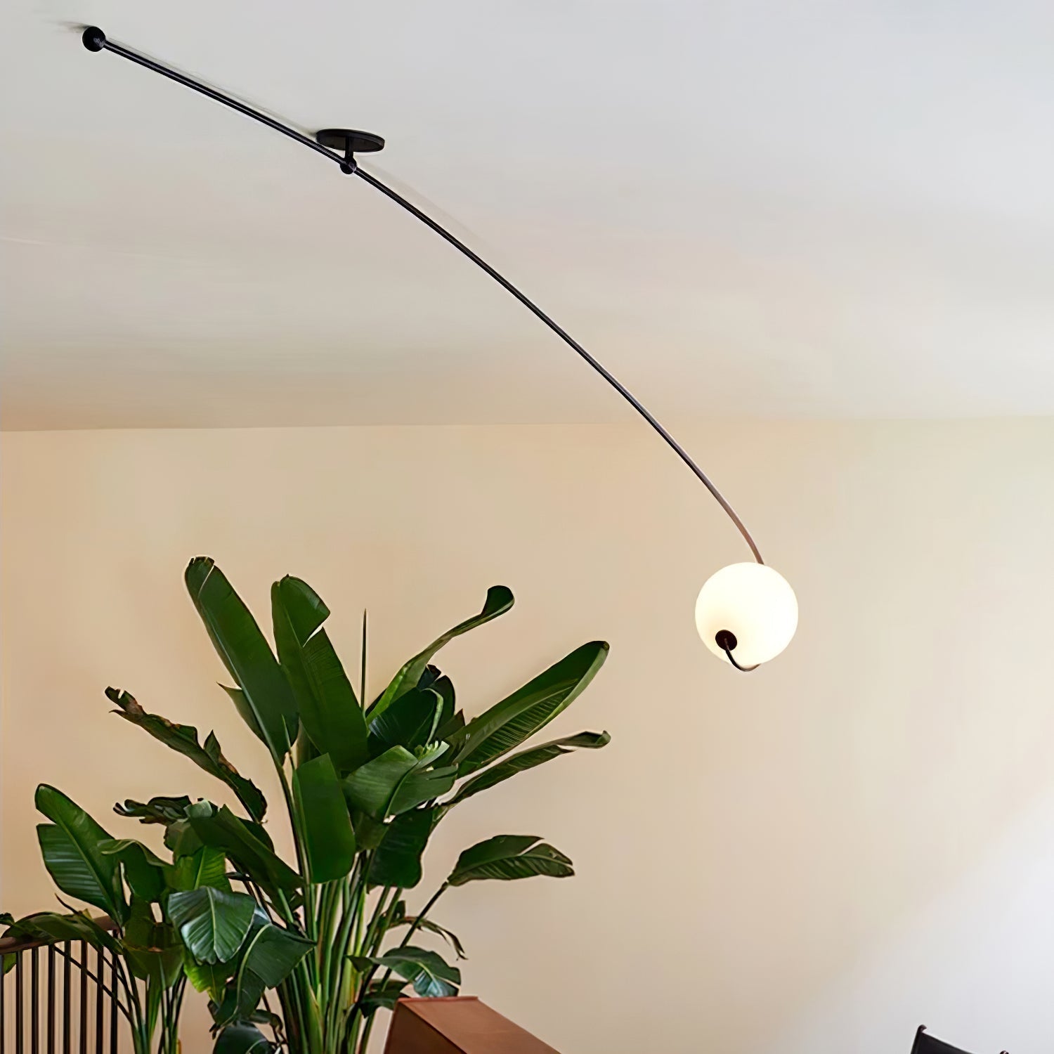 Astral Curve Ceiling Lamp
