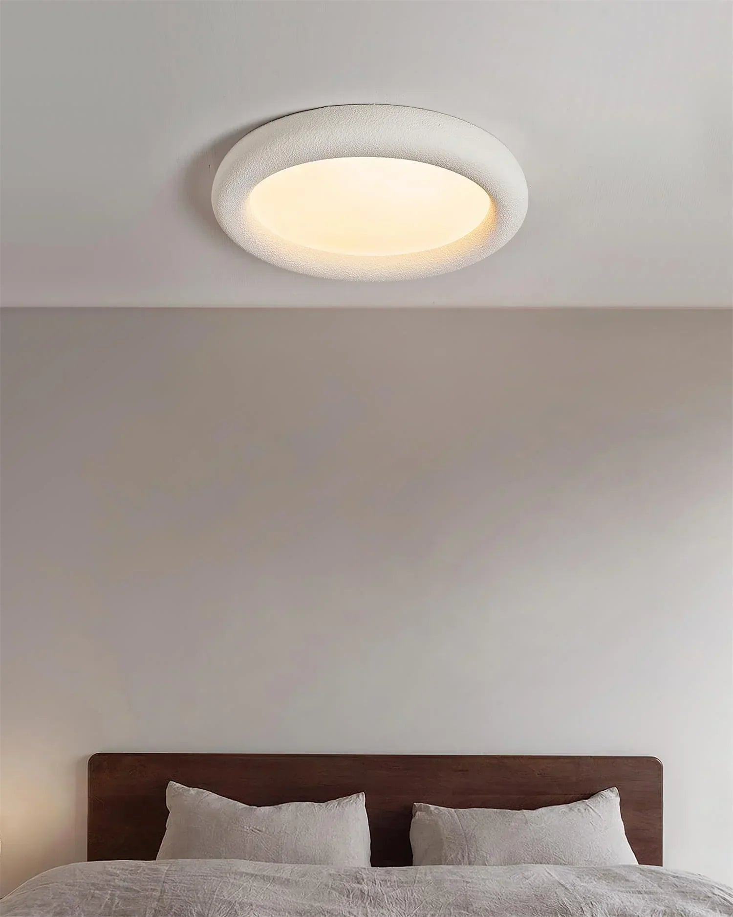 Concise Ceiling Light
