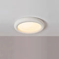 Concise Ceiling Light