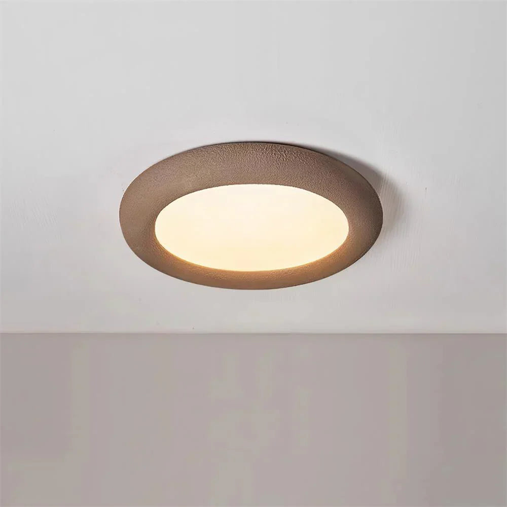 Concise Ceiling Light