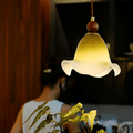 Gradient Petal Pendant Lamp