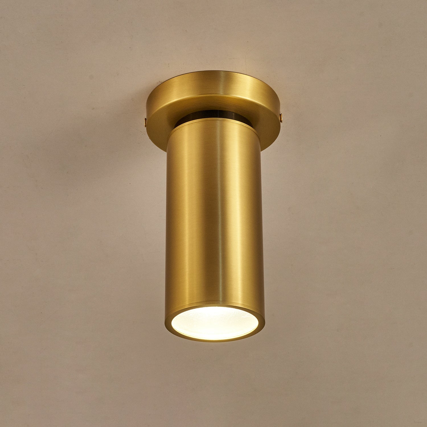 Horizon Brass Spot Light