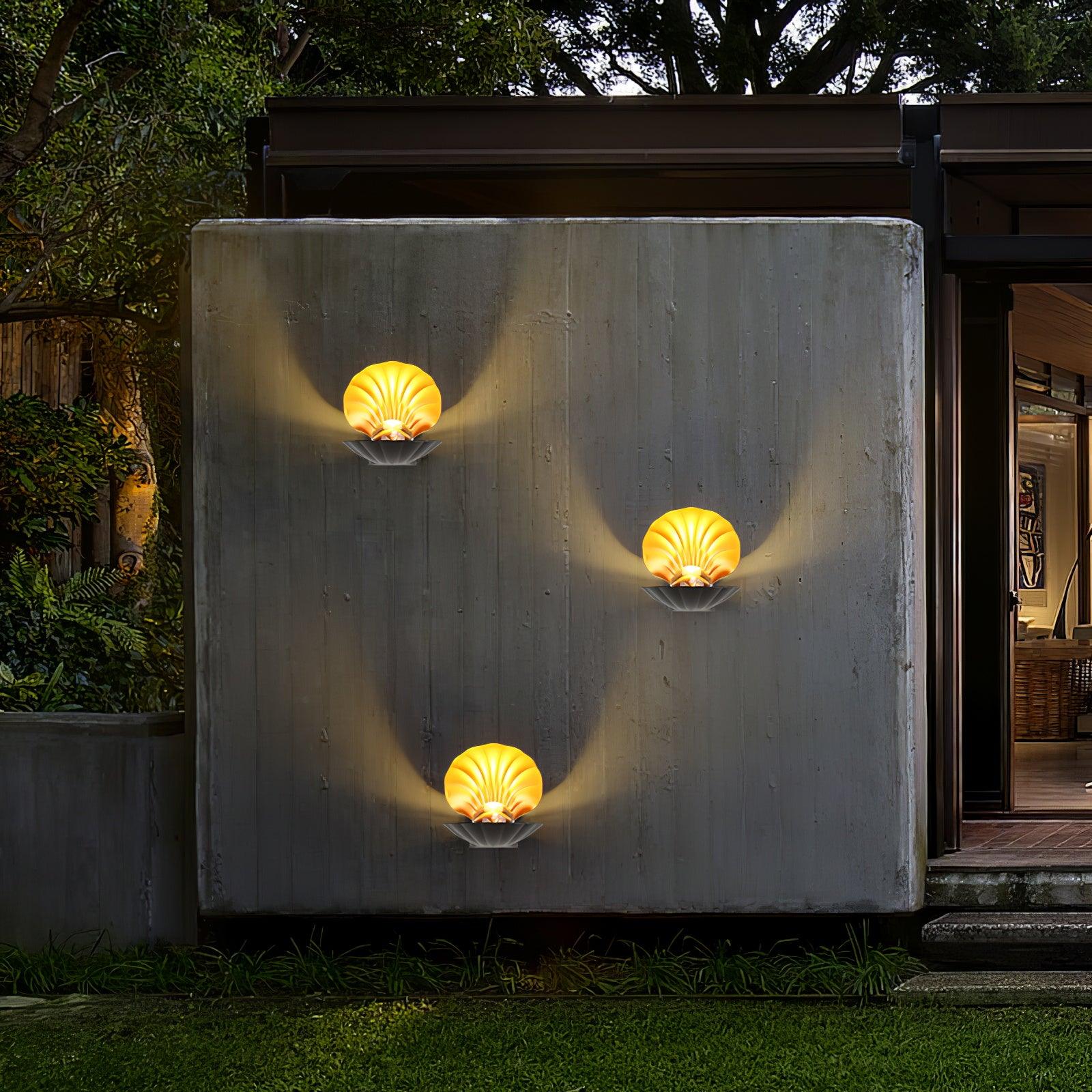 Pearl Clam Wall Light