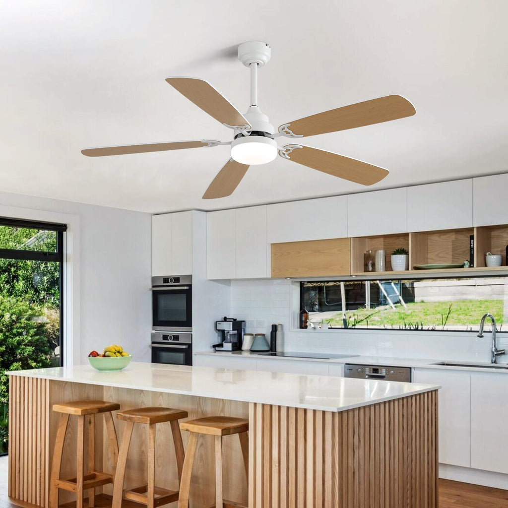 AeroLux Ceiling Fan