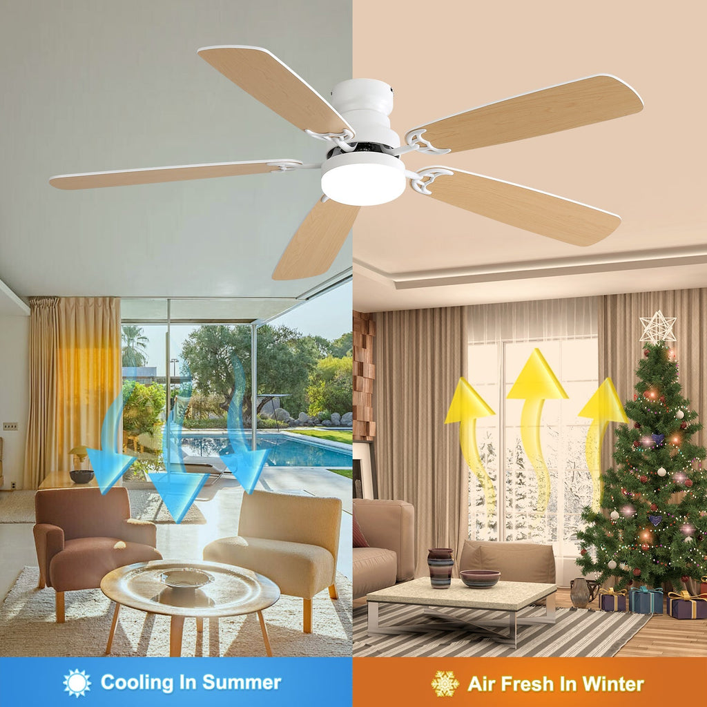 AeroLux Ceiling Fan