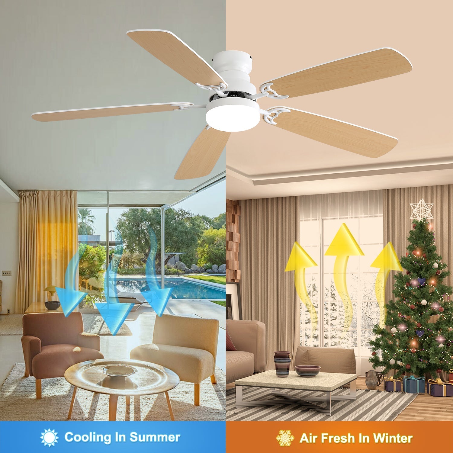 AeroLux Ceiling Fan