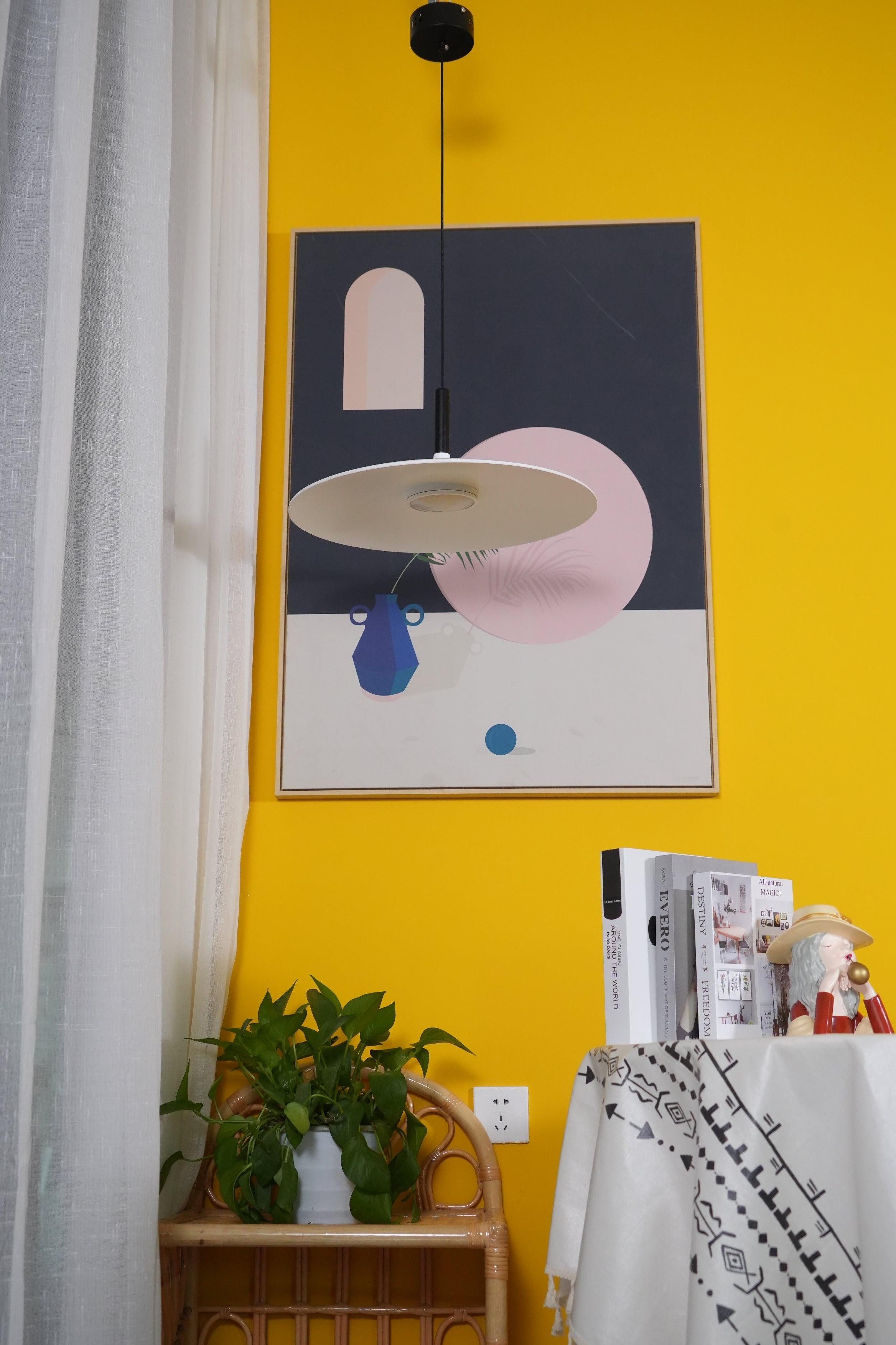 Aibaole metal Pendant Light