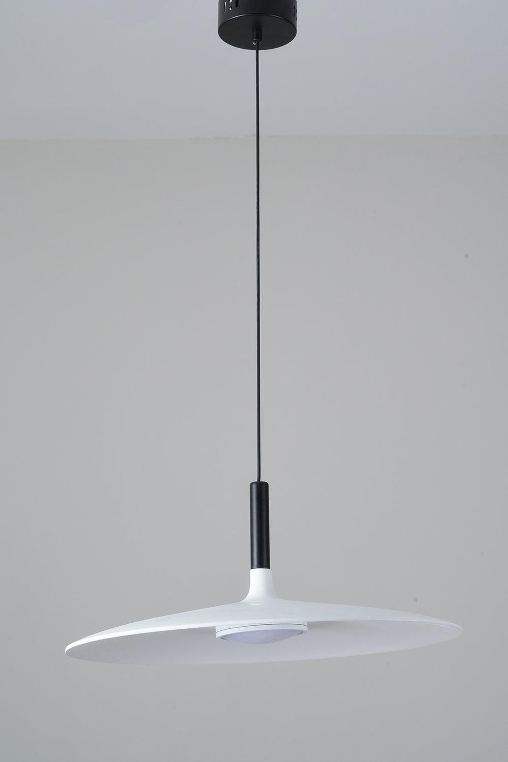 Aibaole metal Pendant Light