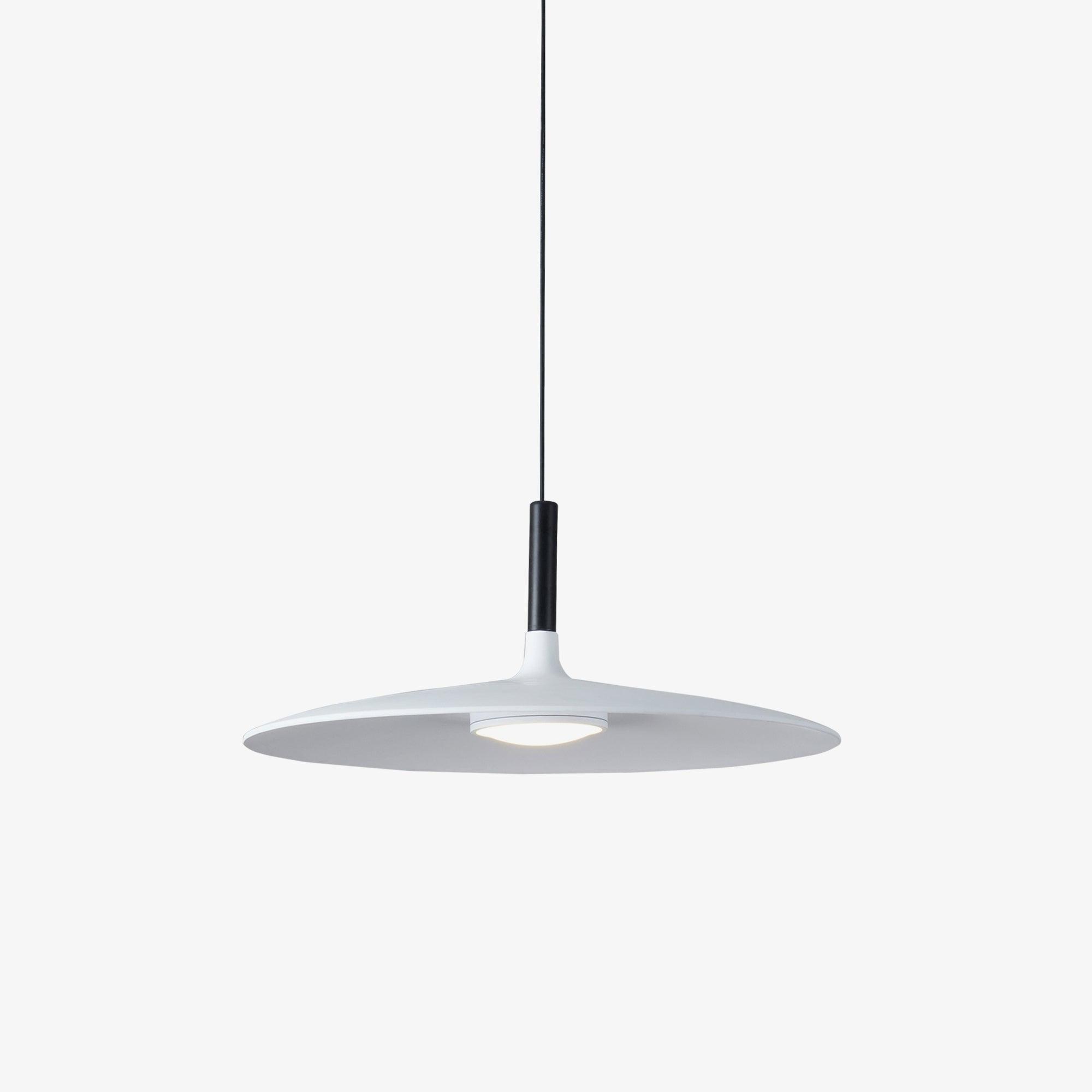 Aibaole metal Pendant Light