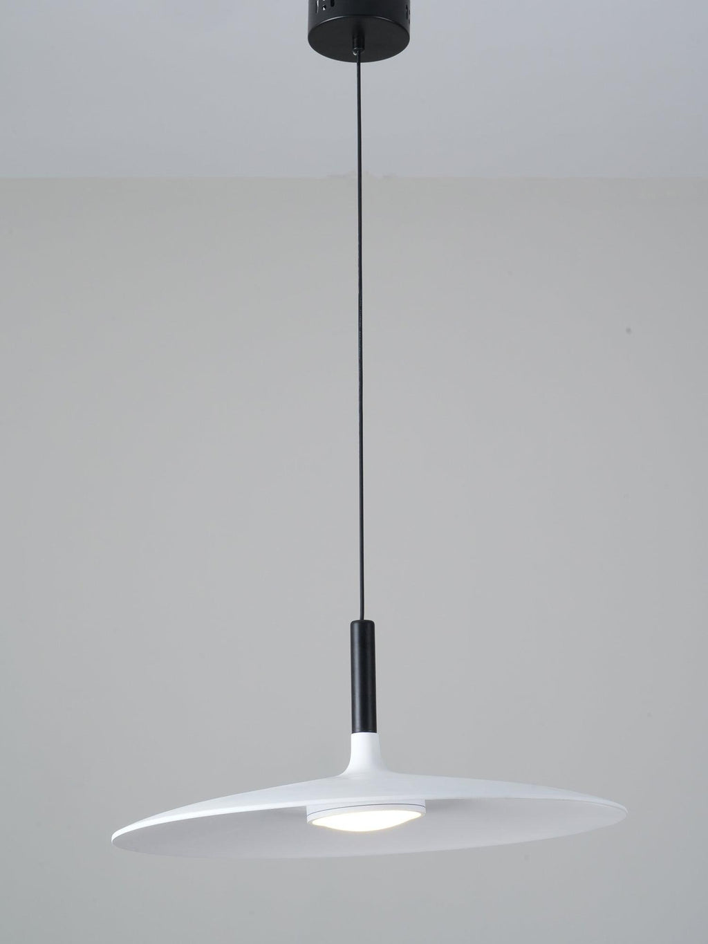 Aibaole metal Pendant Light