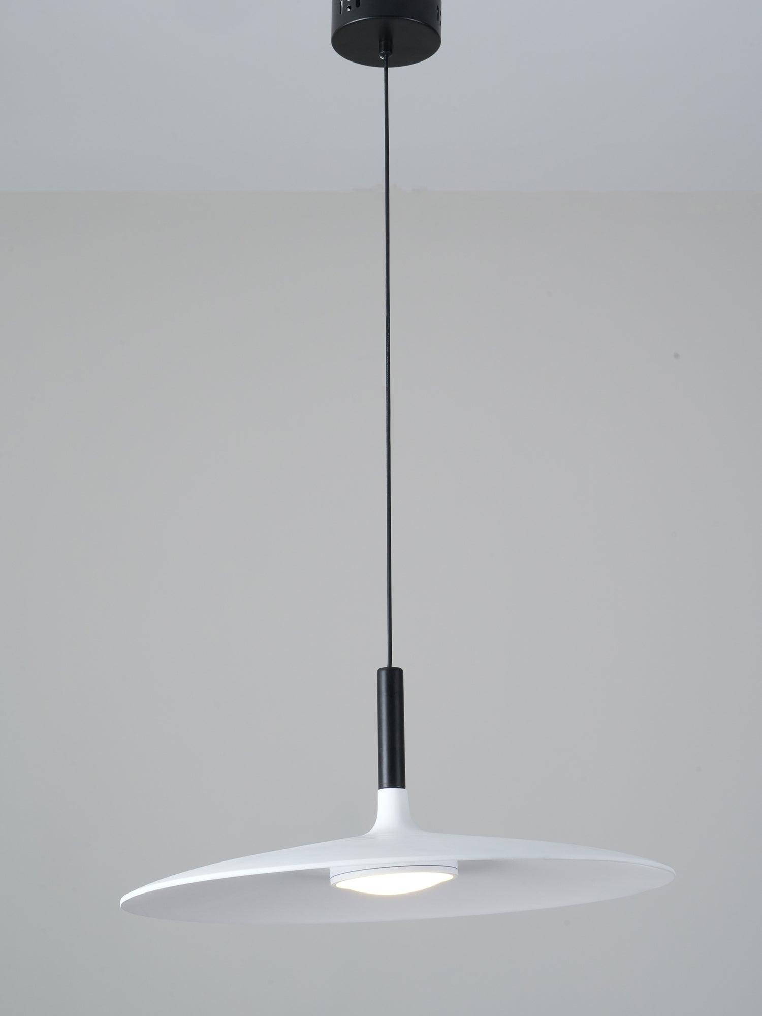Aibaole metal Pendant Light