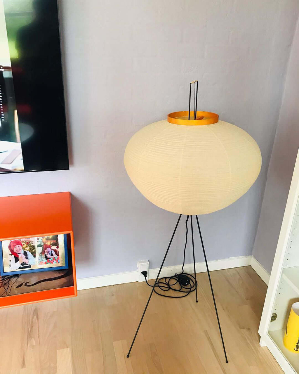 Akari Floor Lamp