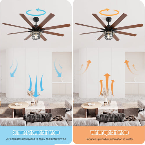 Alistair Ceiling Fan with Light
