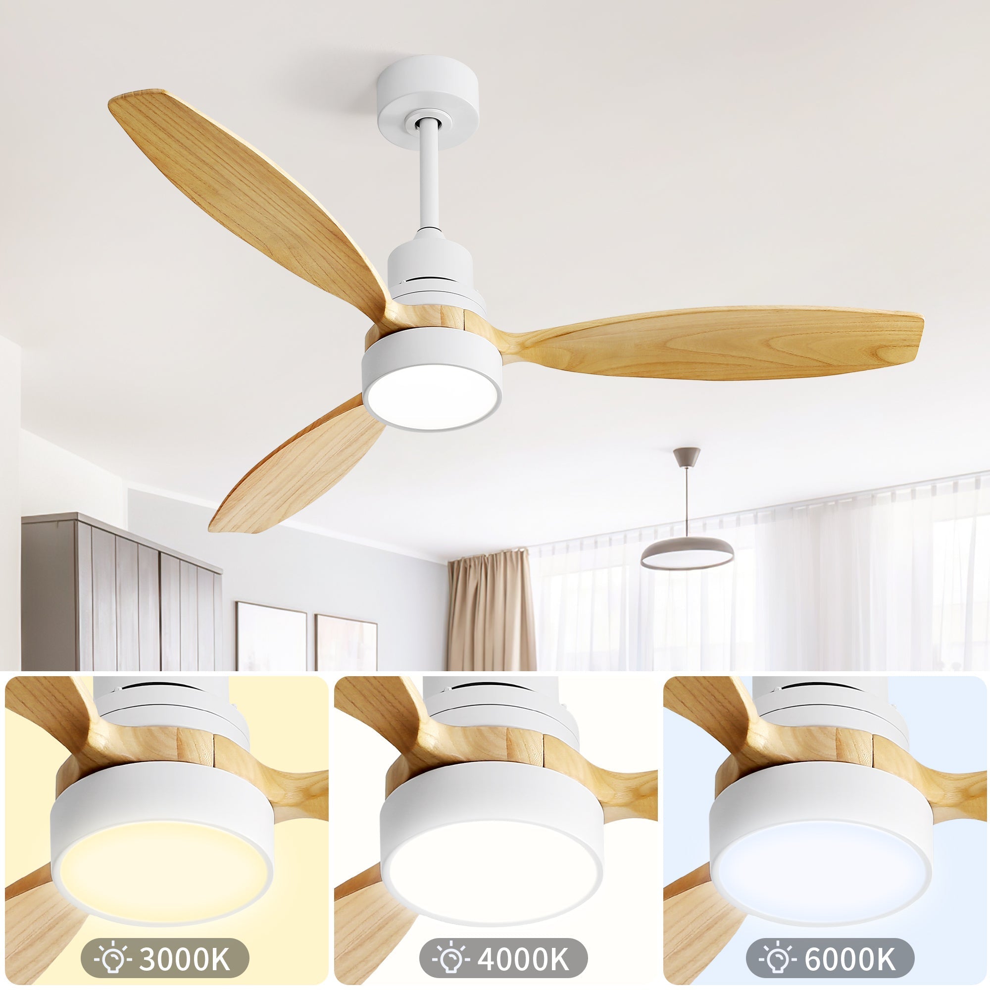 Alpine Breeze Ceiling Fan Light