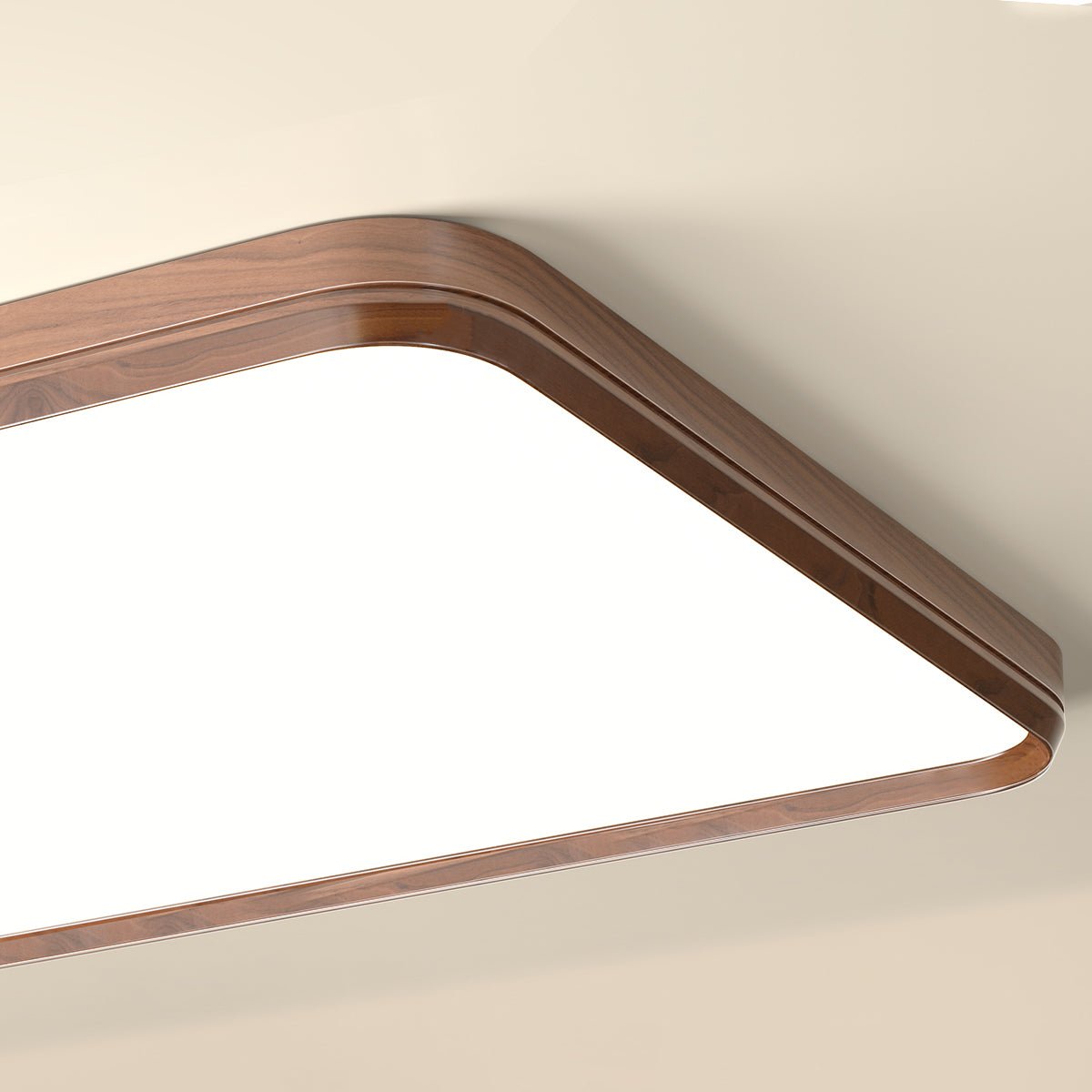 Elara Minimalist Modern Ceiling Light