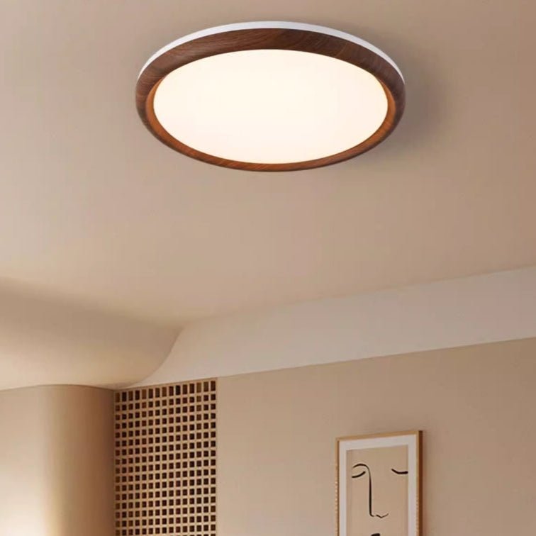 Elegant Ceiling Light