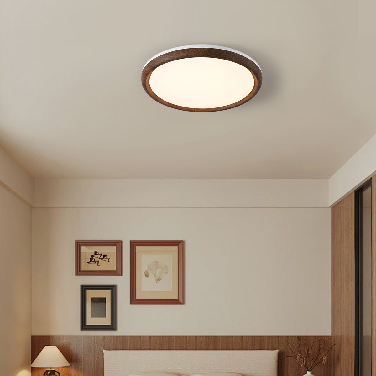 Elegant Ceiling Light