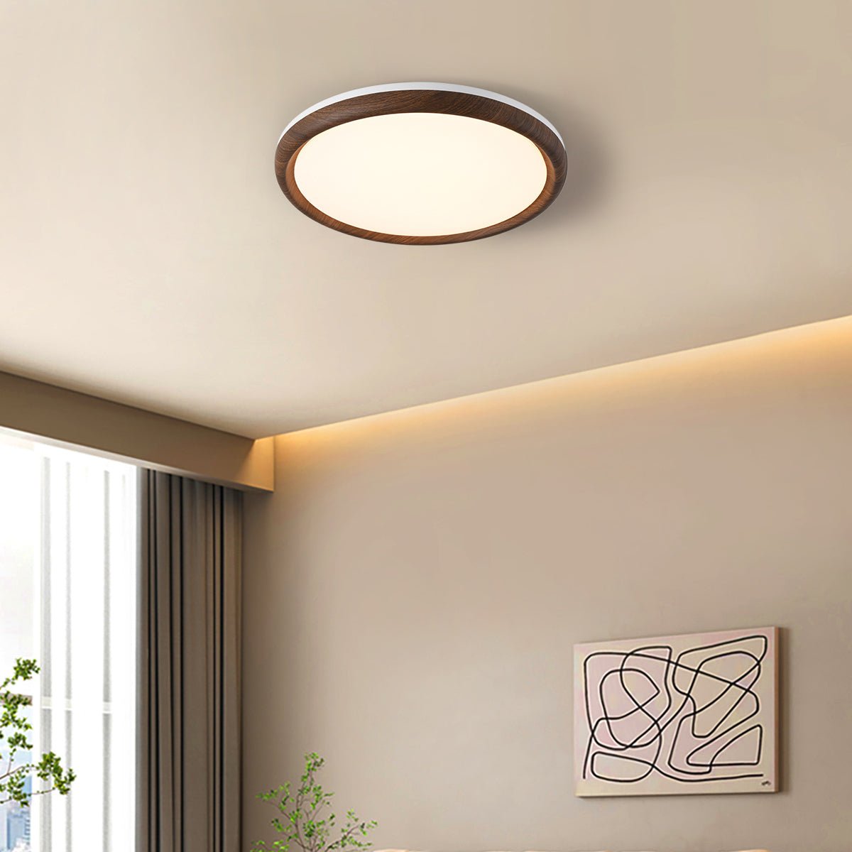 Elegant Ceiling Light