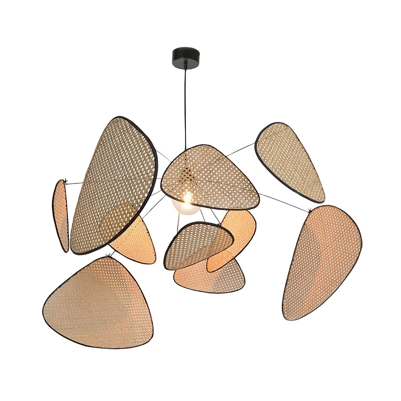 Elysia Chandelier - ZozHome
