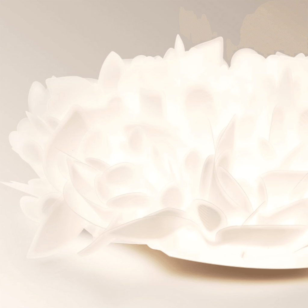 Feather Ceiling Light