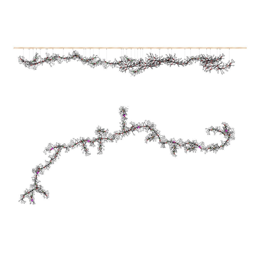 Ginkgo Chandelier E - ZozHome