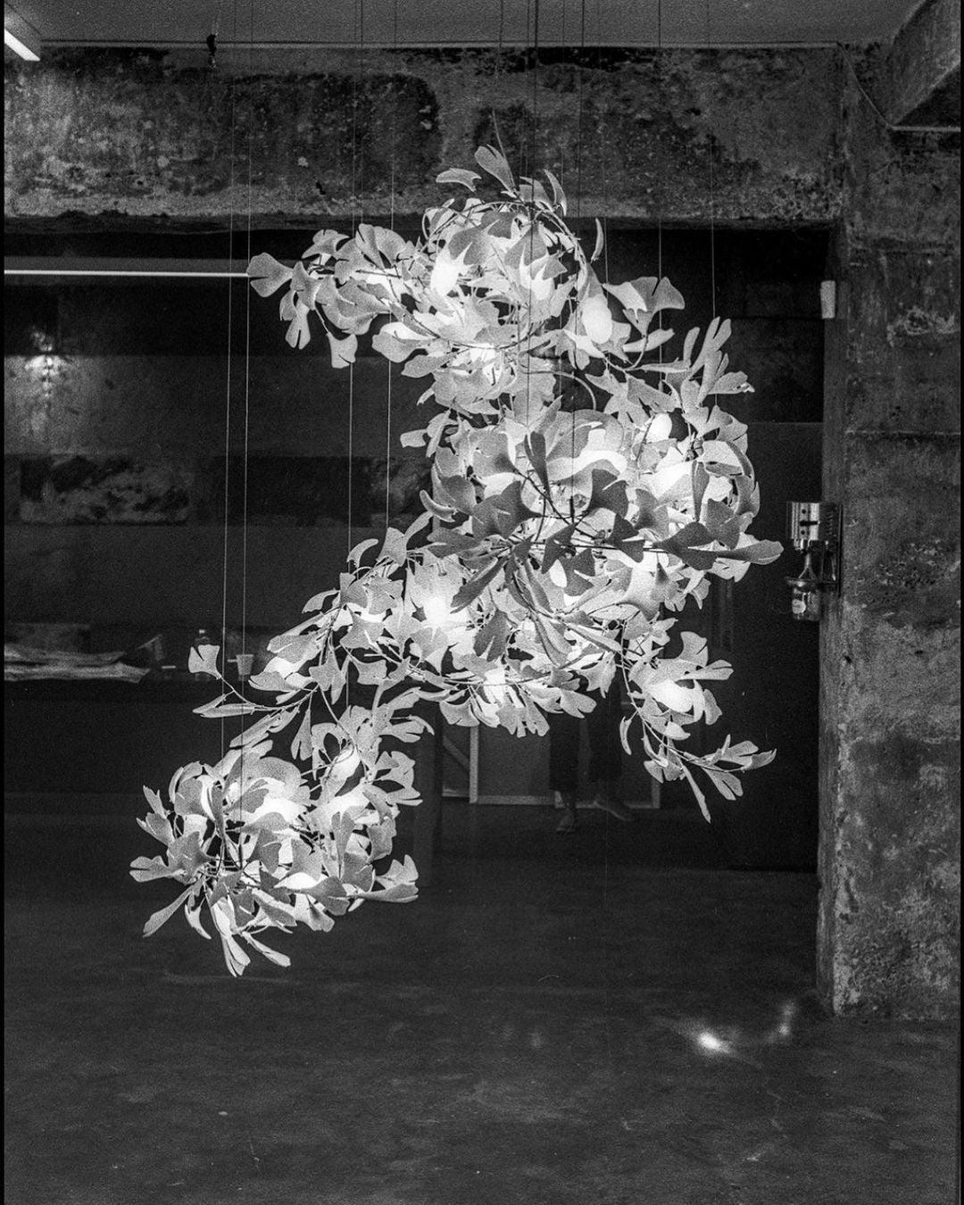 Ginkgo Chandelier F