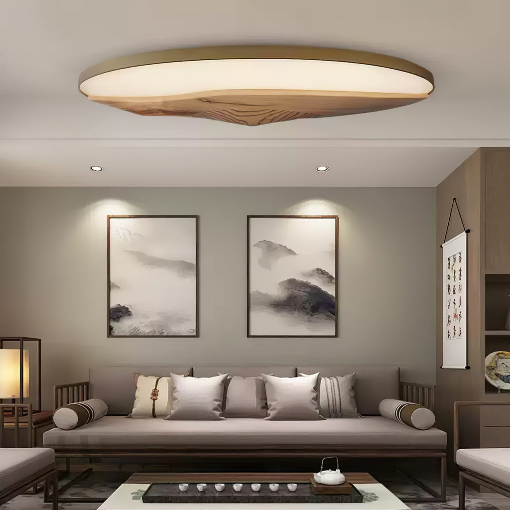 Half - Mountain Ceiling Lamp - ZozHome