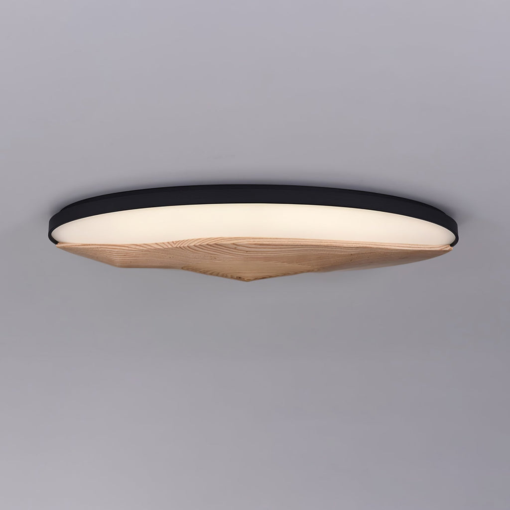 Half-Mountain Ceiling Lamp