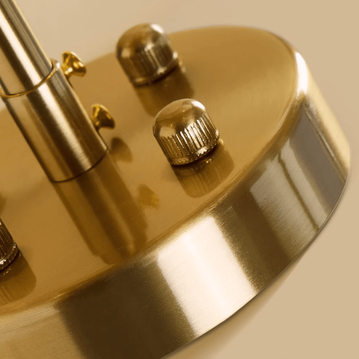 Icy Shell Chandelier