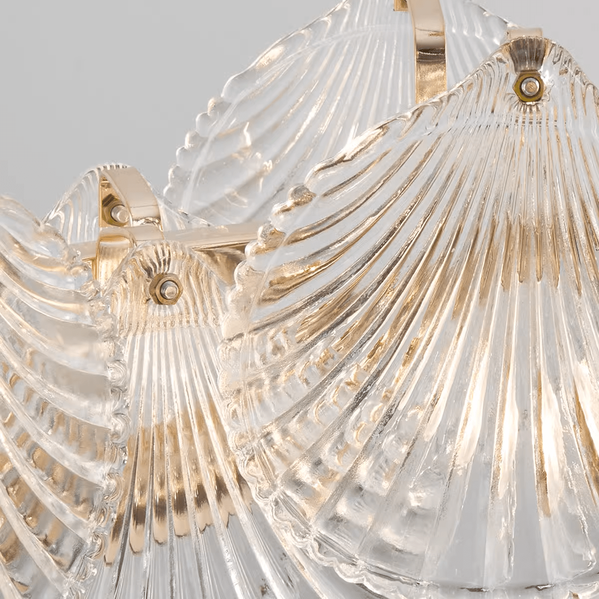 Icy Shell Chandelier