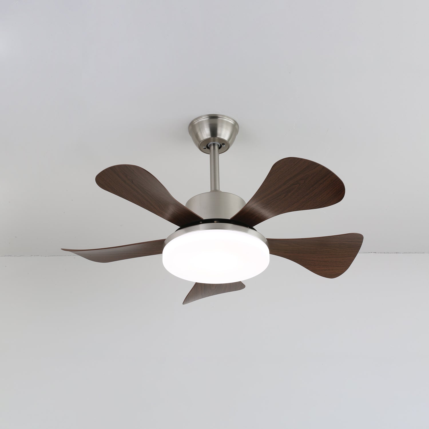 Lena Ceiling Fan Light