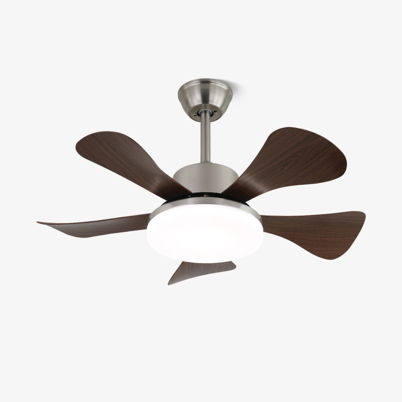 Lena Ceiling Fan Light