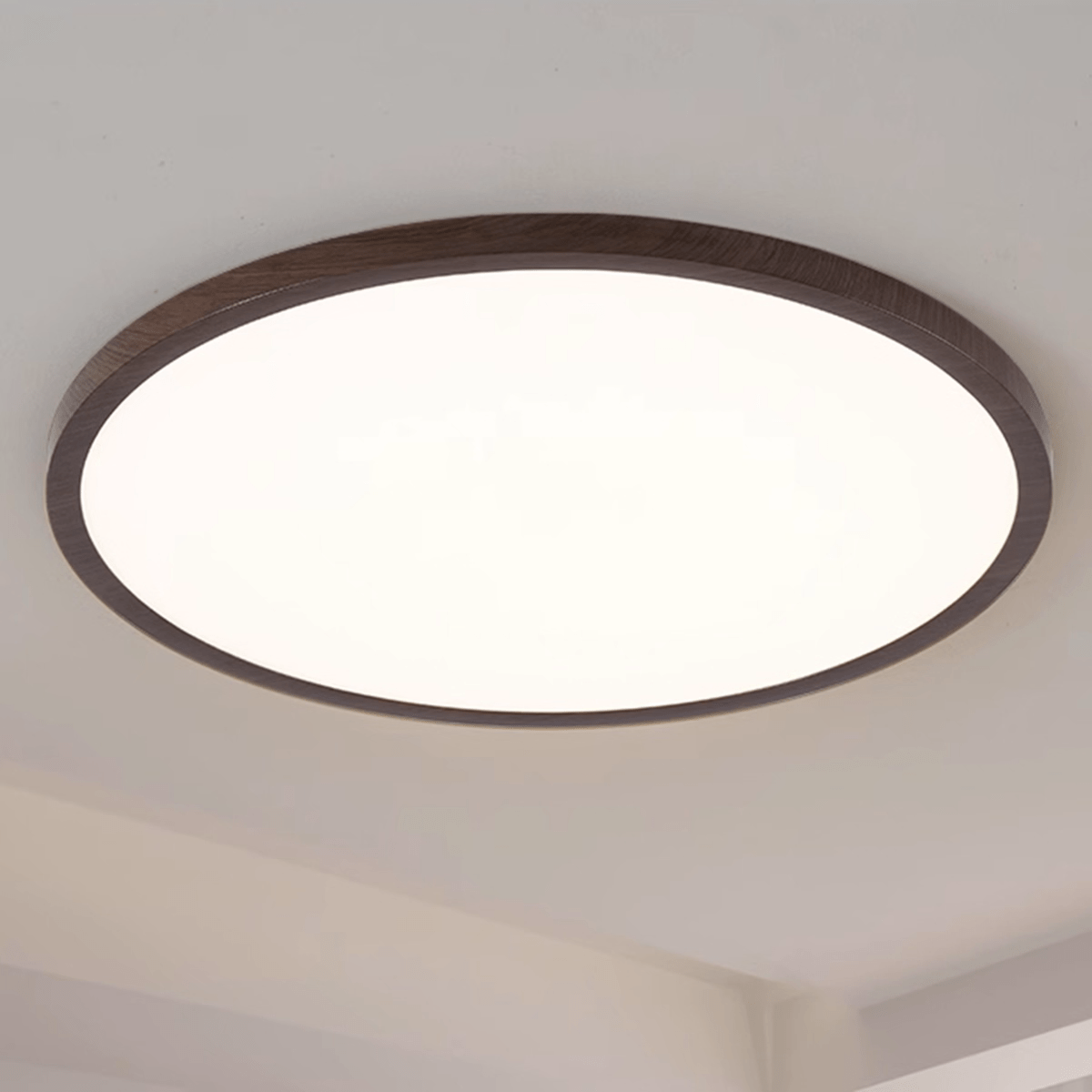 Minimalist Ceiling Light - ZozHome