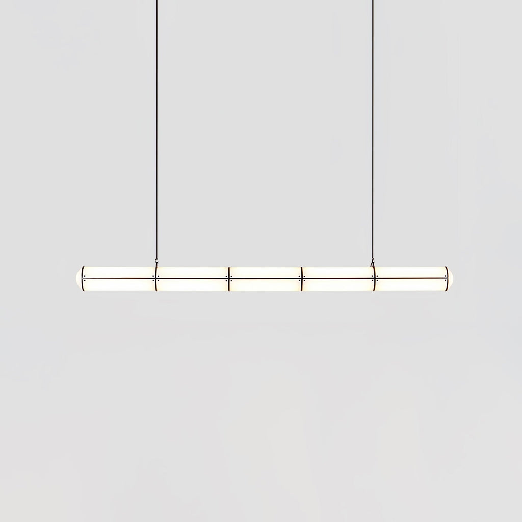 Modern and Simple Pendant Light