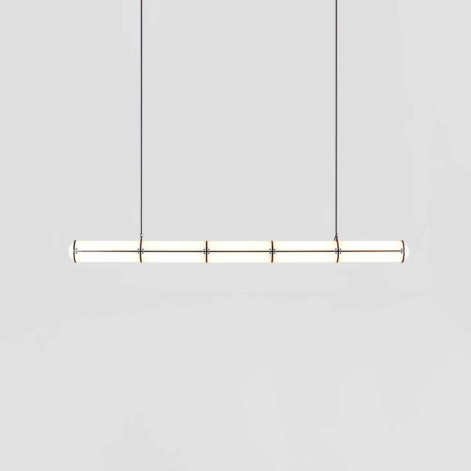 Modern and Simple Pendant Light