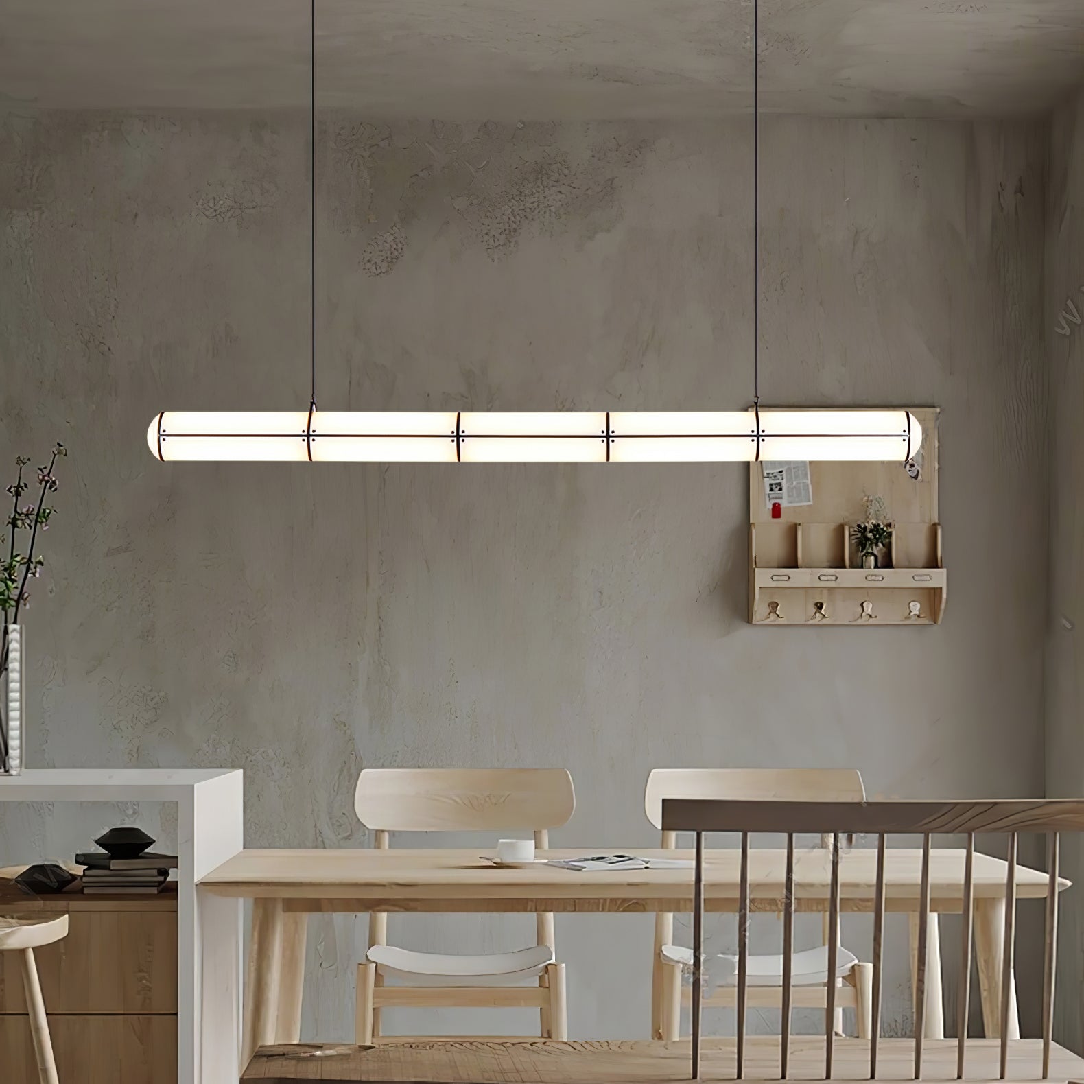 Modern and Simple Pendant Light