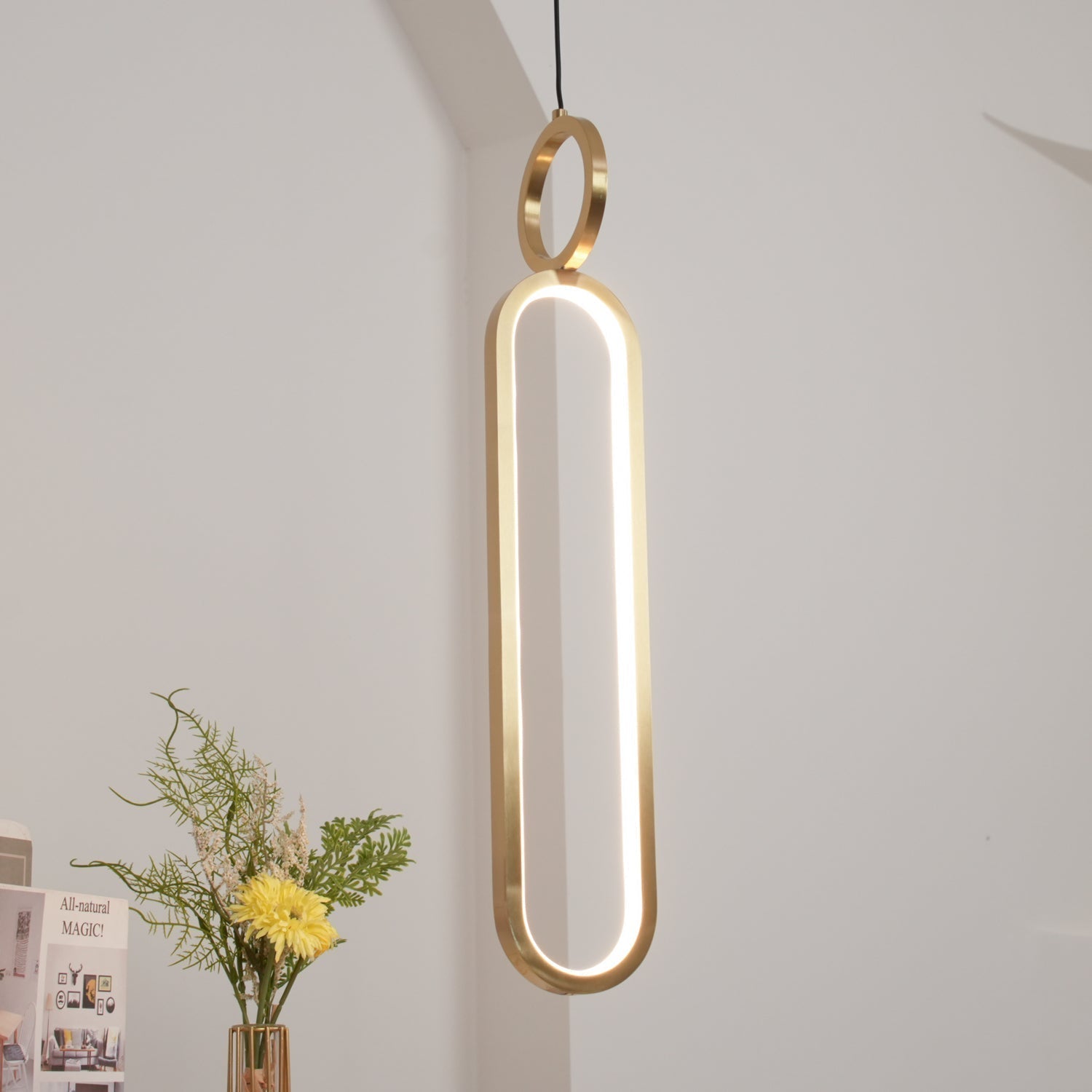 Oval Rings Pendant Light - ZozHome