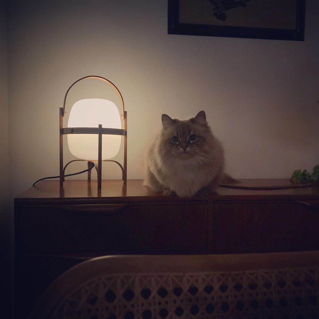 Portable Lantern Glass Table Lamp Type A