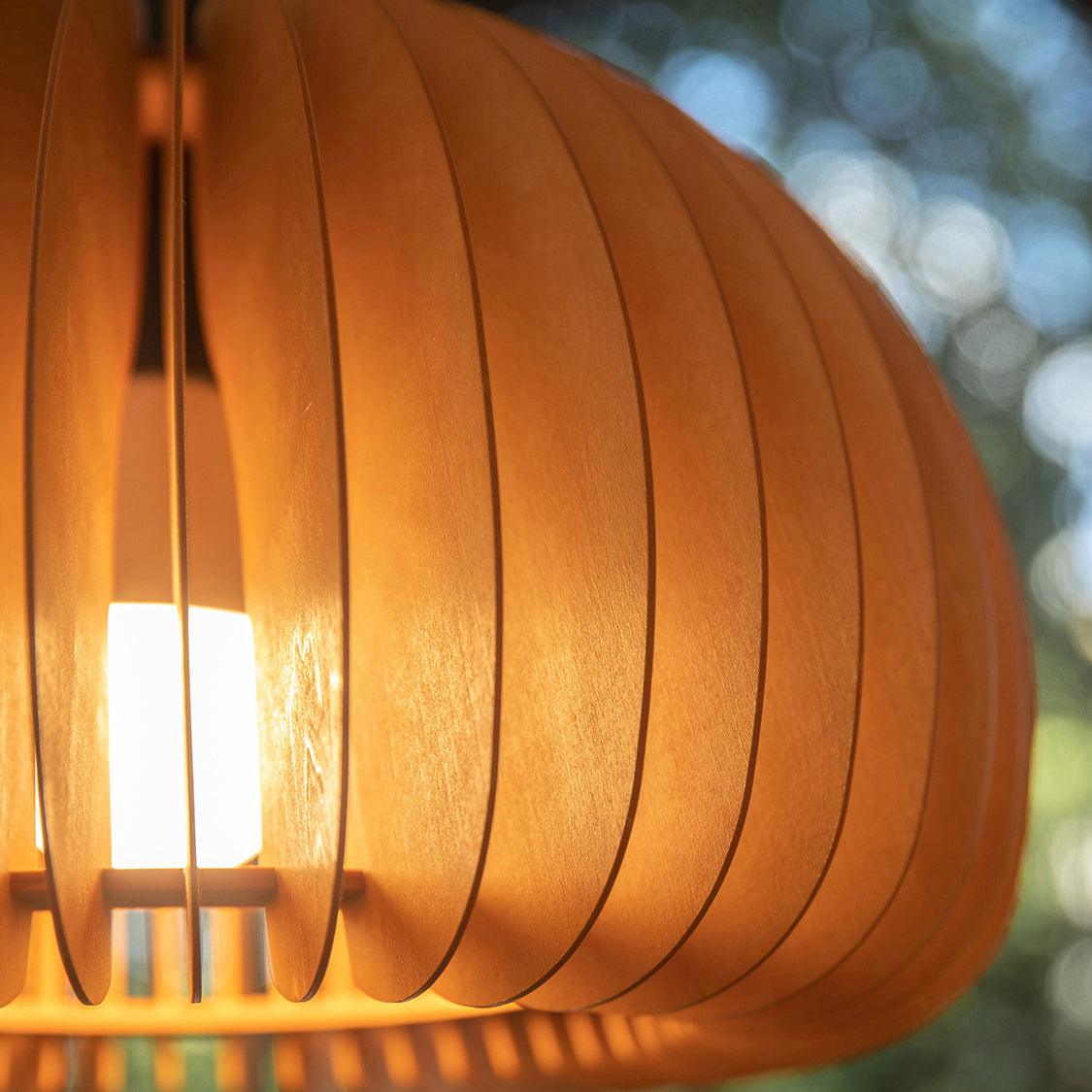 Pumpkin Pendant Light
