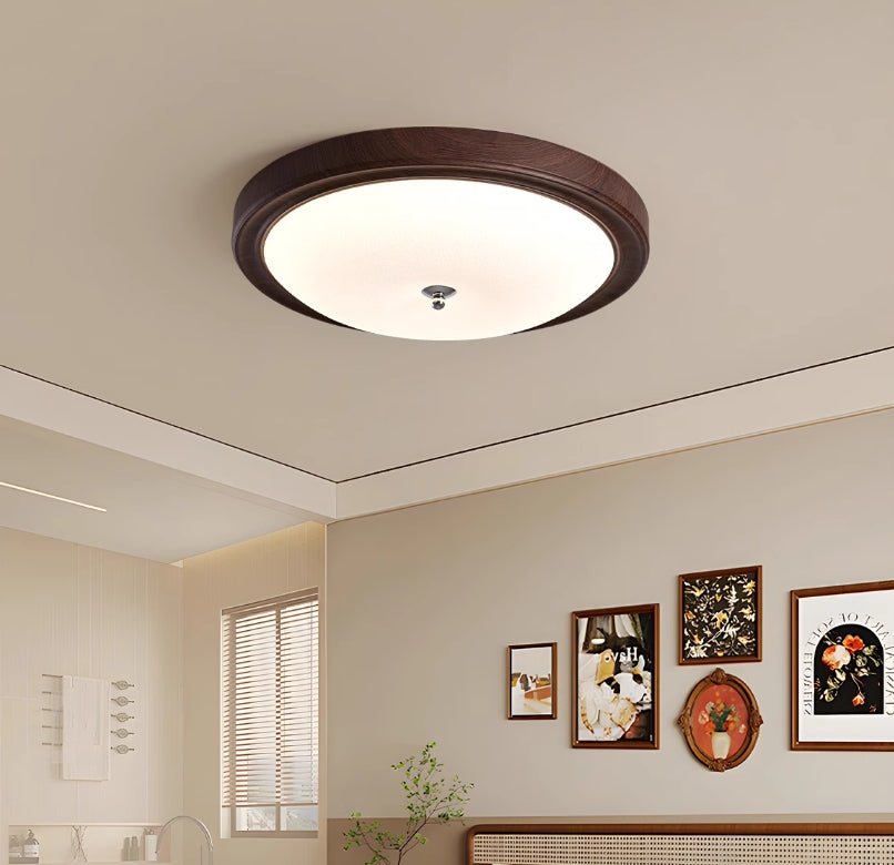 Retro Cloud Ceiling Light.