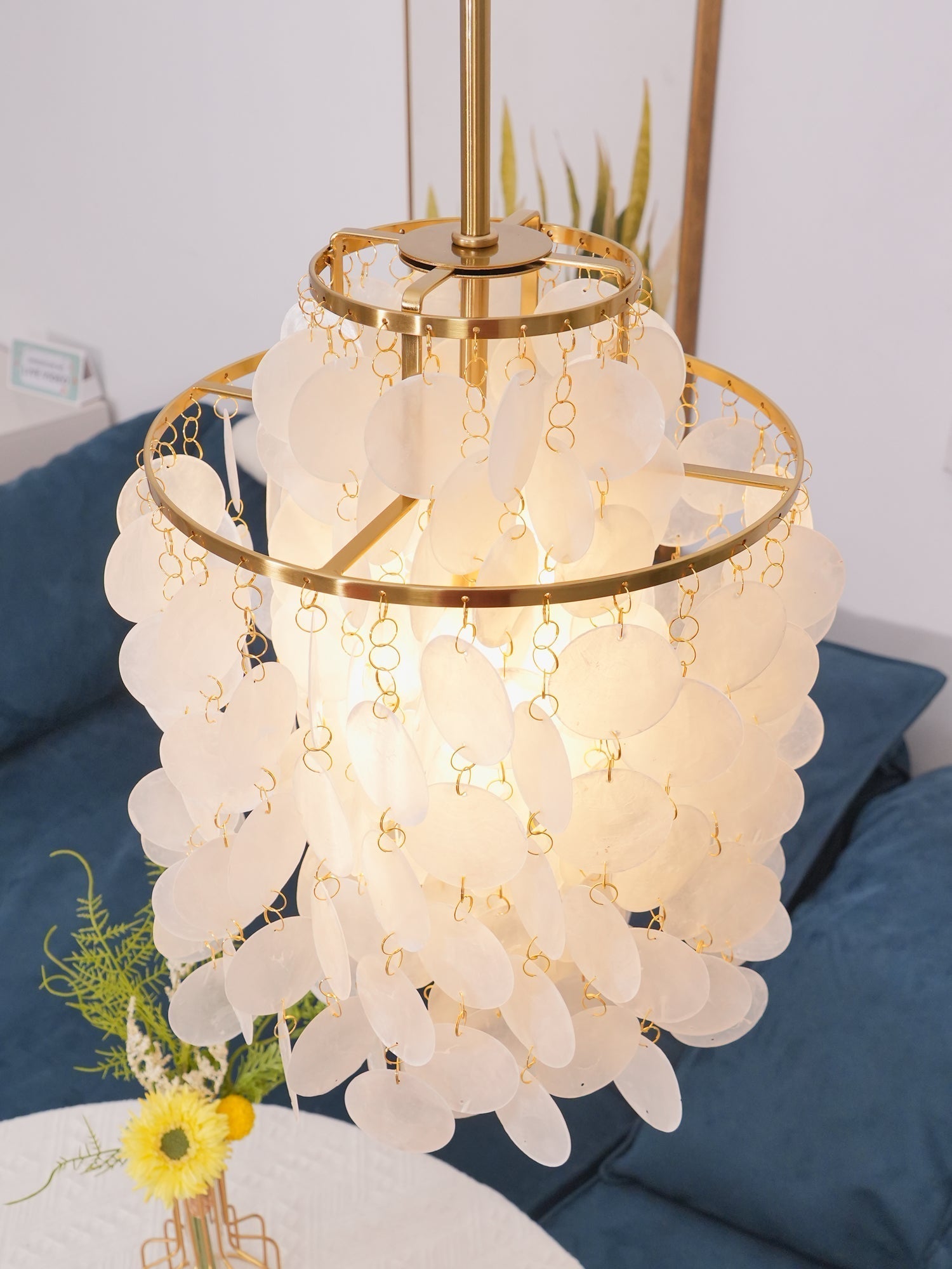 Riley Shell Chandelier