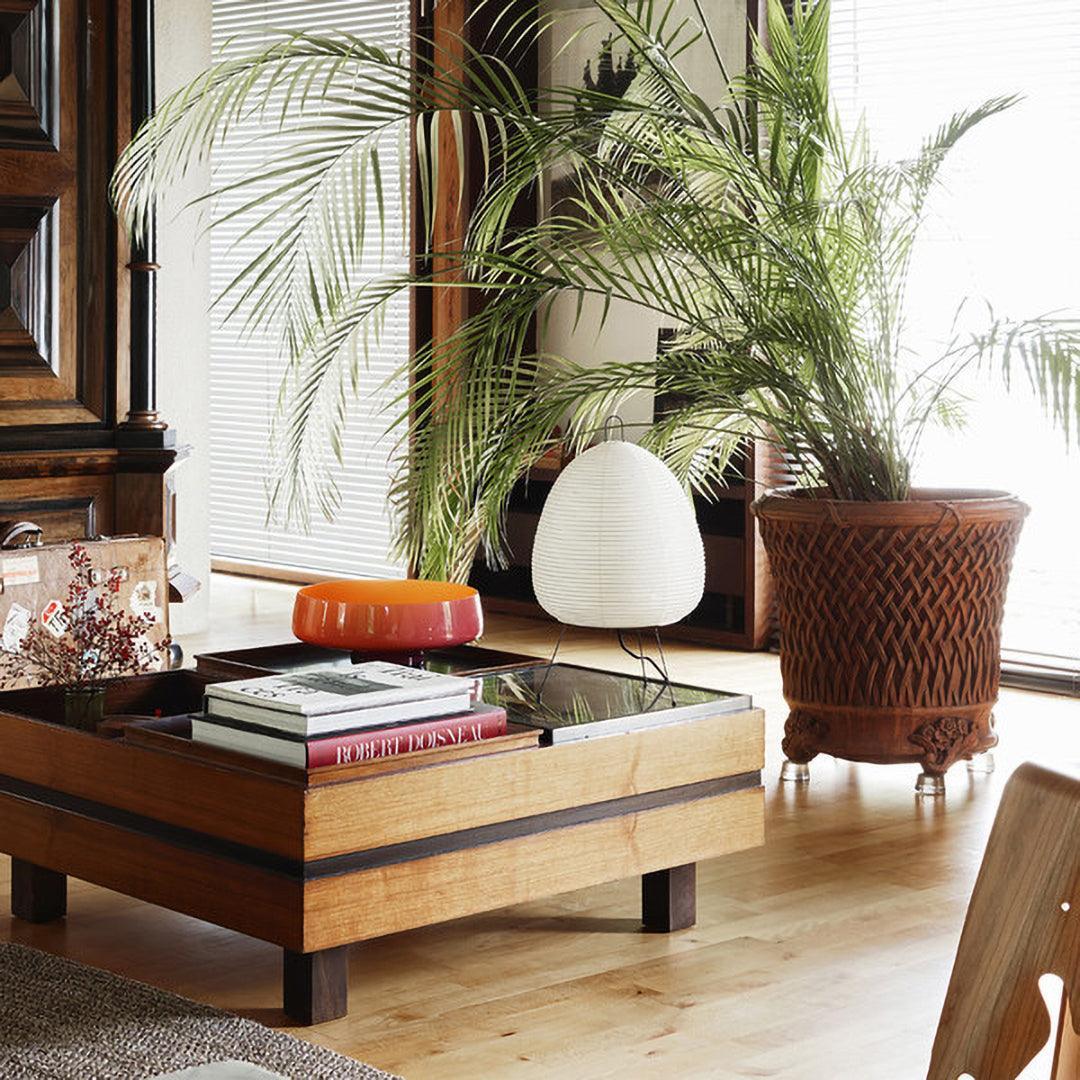 Rowen Glow Paper Table Lamp