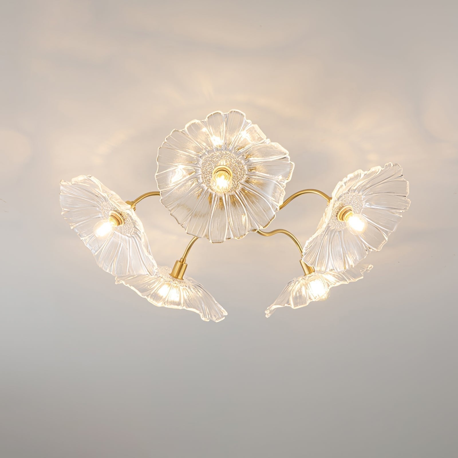 Seron Glass Ceiling Lamp