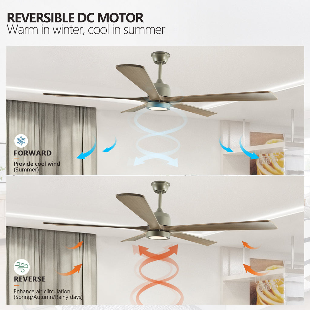 Sierra Ceiling Fan Light