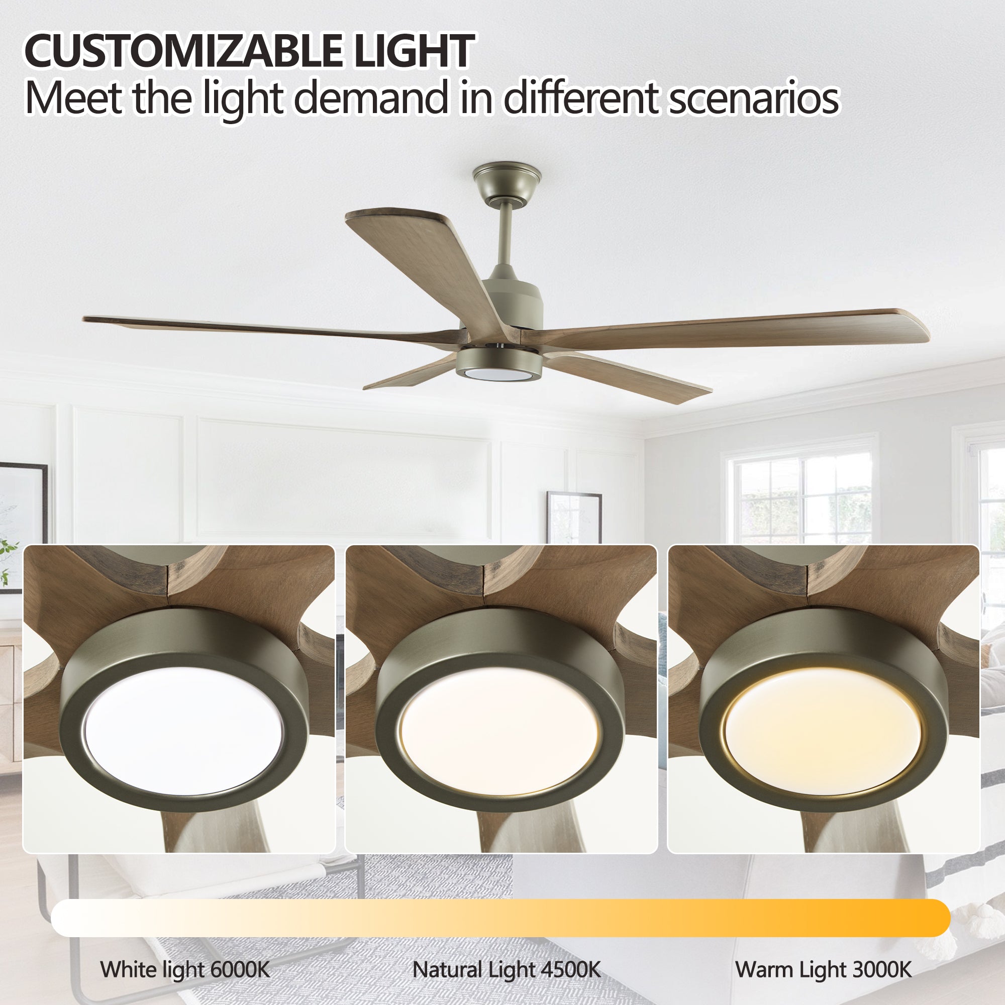 Sierra Ceiling Fan Light