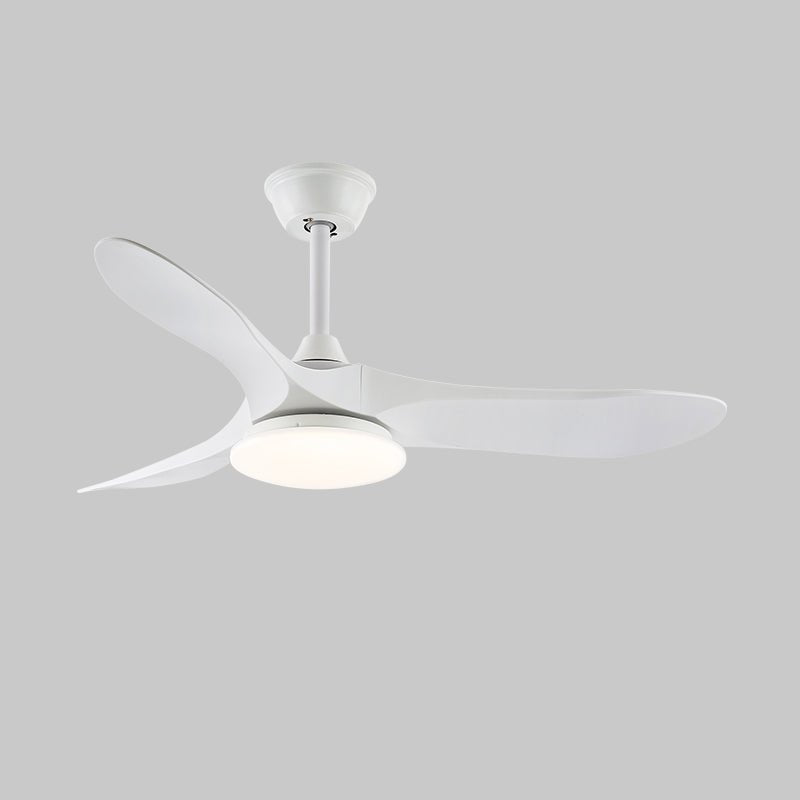 Solace Breeze Ceiling Fan Light