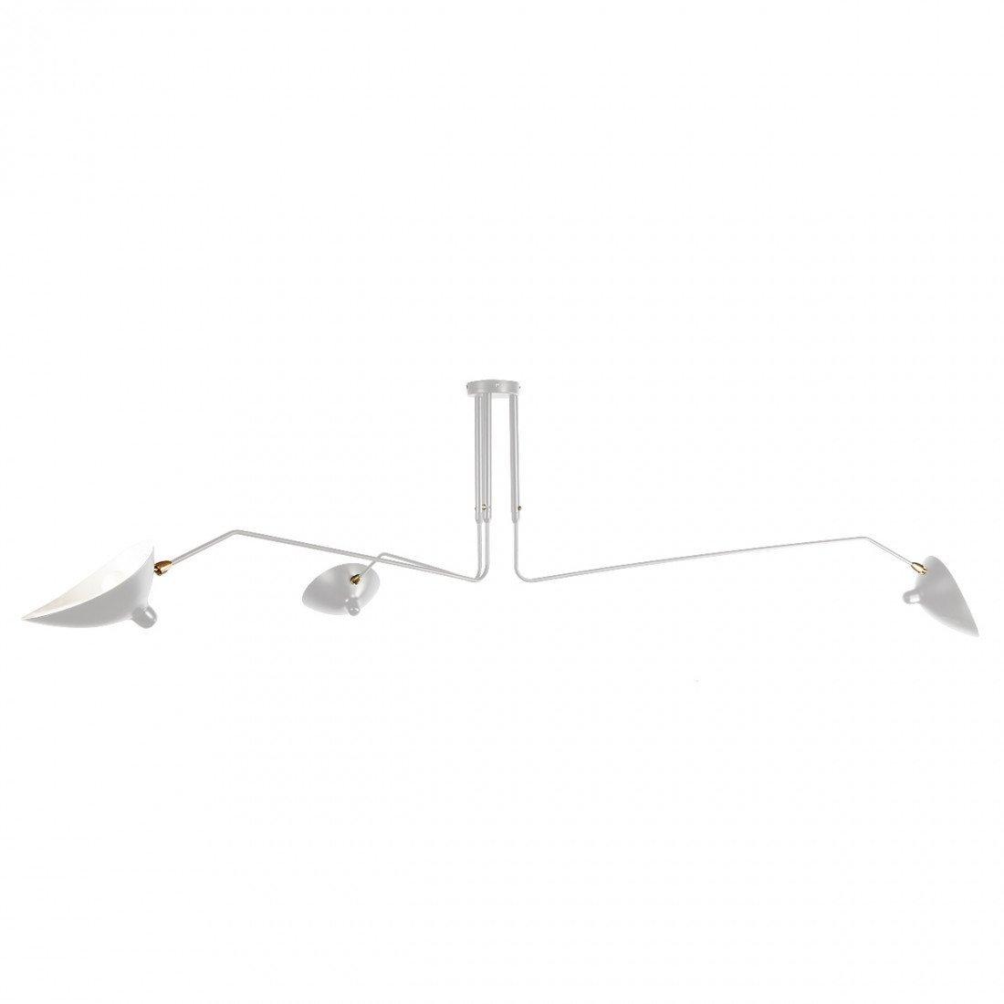 Thoreau Feldko Ceiling Light A