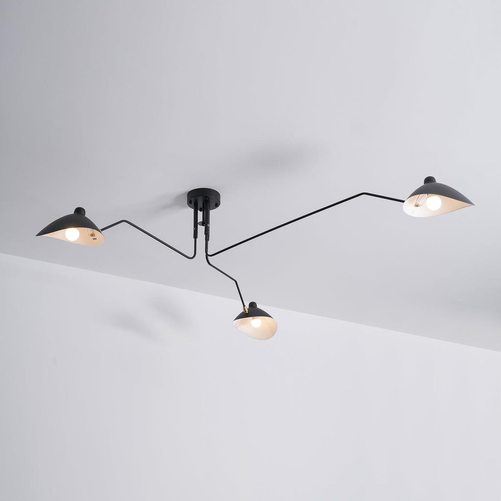 Thoreau Feldko Ceiling Light A