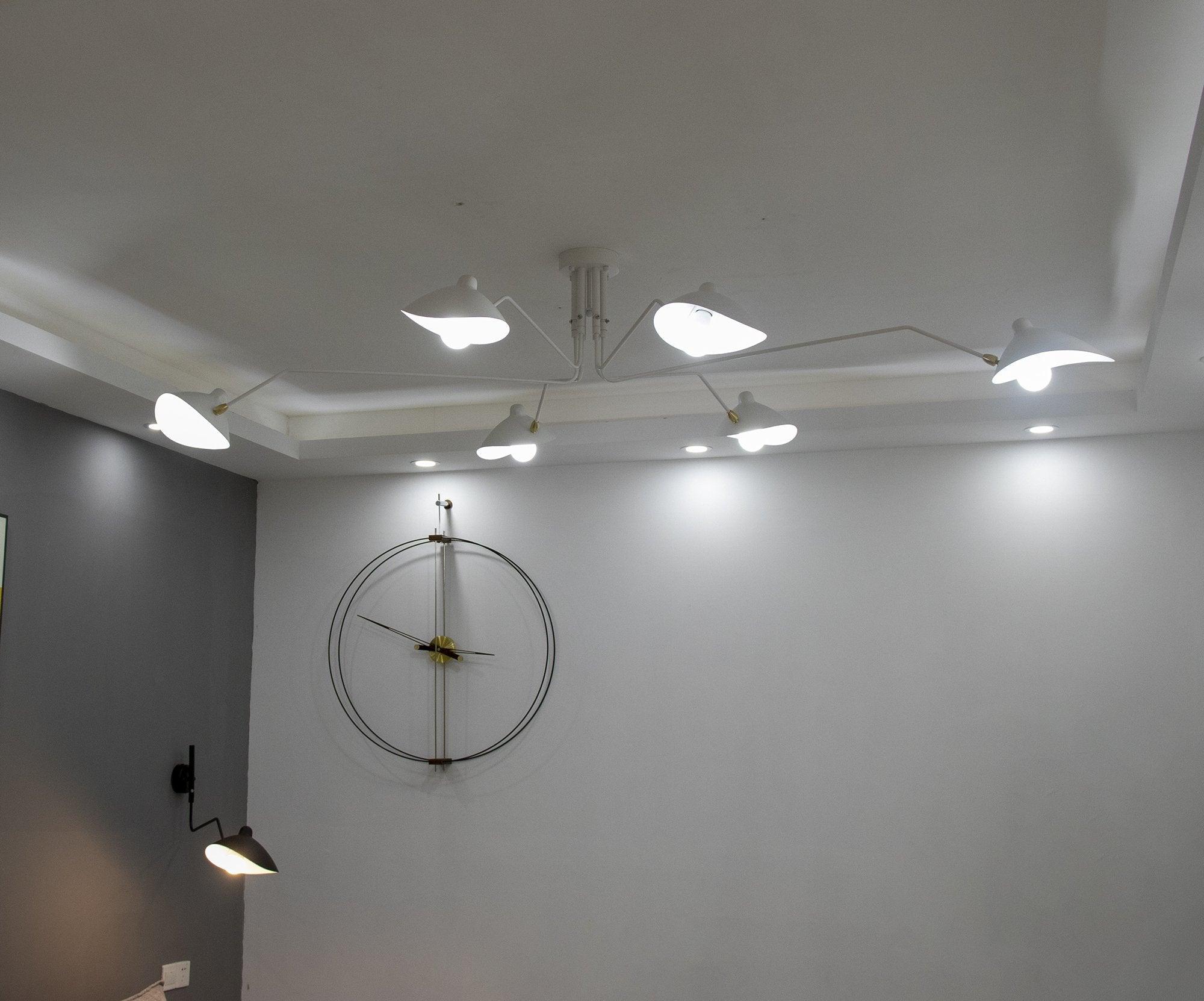 Thoreau Feldko Ceiling Light A