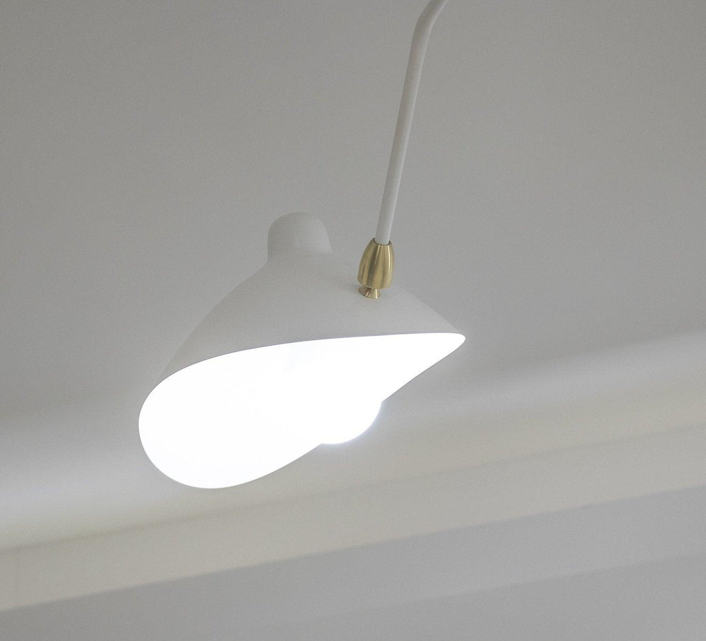 Thoreau Feldko Ceiling Light A